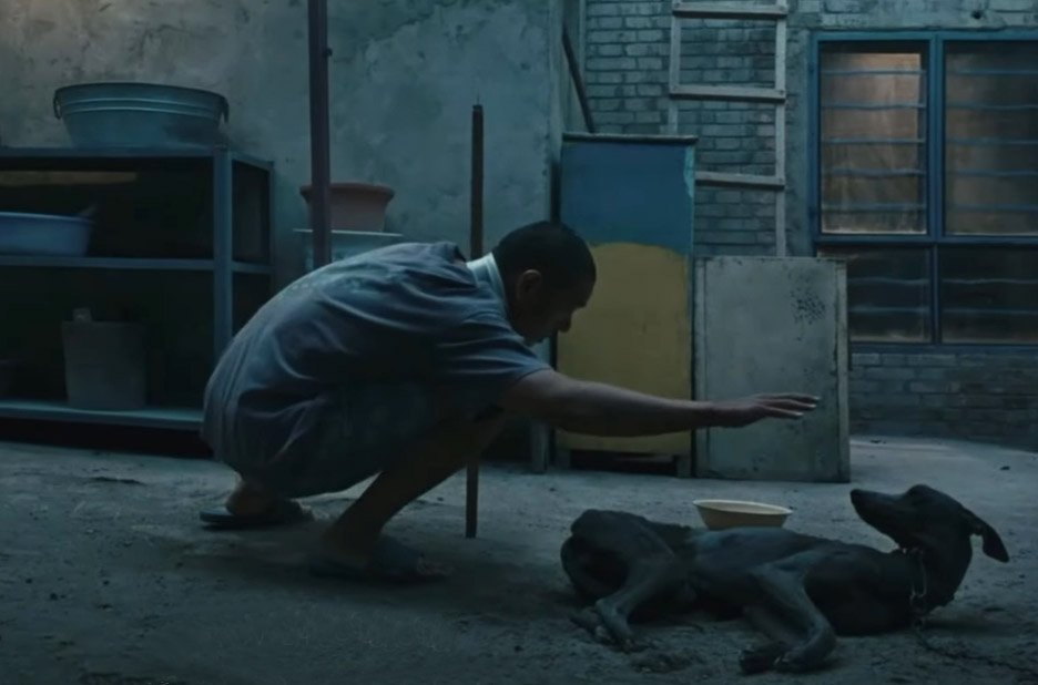 Eddie Peng and Xiao Xin in Black dog