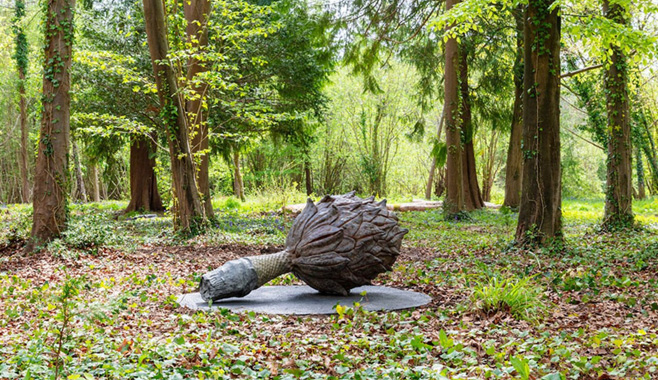 Veronica Ryan, Untitled (Magnolia Pod), 2024