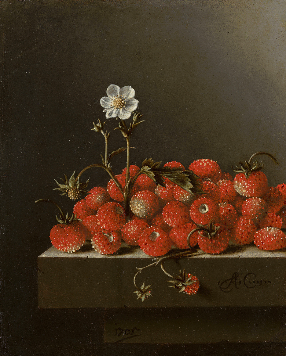Adriaen Coorte, Still Life with Wild Strawberries, 1705