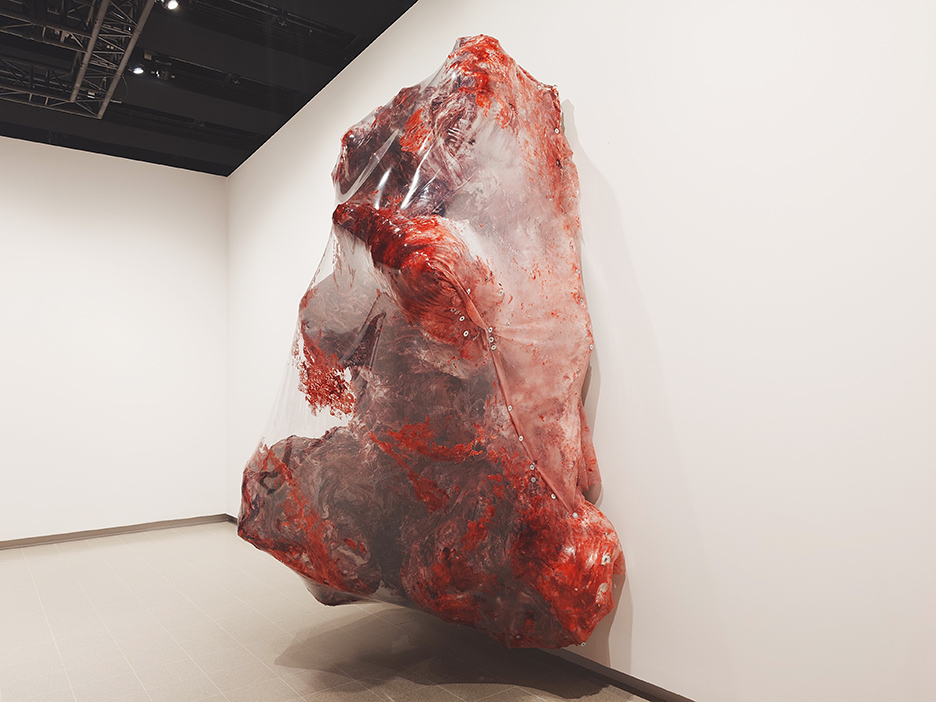 Anish Kapoor, Plastic Sacrifice I, 2026